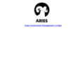 aries-construction.com