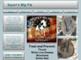 spurrsbigfix.com