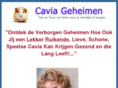 cavia-verzorging.com