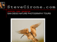 stevecirone.com