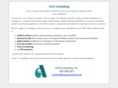 ccaconsulting.net