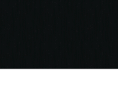 vibrantzone.com