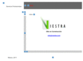 viestra.com