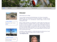carolchasetehachapi.com