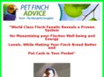 petfinchadvice.com