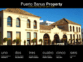 puerto-banus-property.com