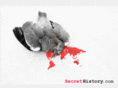 secrethistory.com