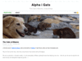 alphaigats.com