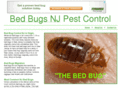 bedbugsnjpestcontrol.com