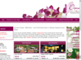 gexx-express.com