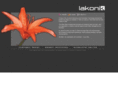 lakonik.com