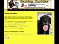 barkingbuddies.net