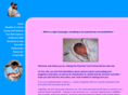 personaltouchdoula.com