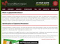 removalofjapaneseknotweed.co.uk