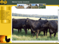 warrencountylivestock.net