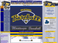 portagecentralbaseball.org