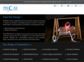 precisesoftware.in