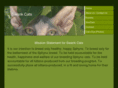 swankcats.com