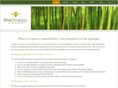 ecostrategygroup.com