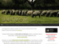 iberico-salamanca.com