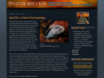 opticalocean.com