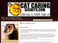 catcaringsecrets.com