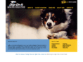 dogonitagility.com