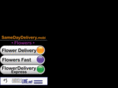 samedaydelivery.mobi