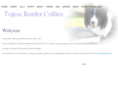 tojessbordercollies.com