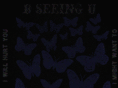 bseeingu.com