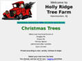 hollyridgetreefarm.com
