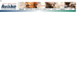 awake-net.com