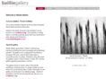 bailliegallery.com