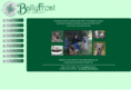 ballyfrost.com