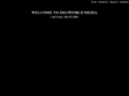 shonthewebguy.com