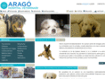 aragocv.com