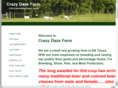 crazydazefarm.com