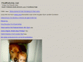 paulredwine.com