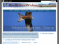 redkiteswales.com