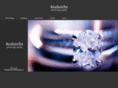 avalanchephoto.com