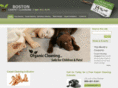 bostoncarpet-cleaning.com