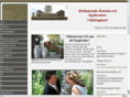 brollopsnatt.com