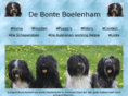 debonteboelenham.com