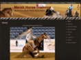 marshhorsetraining.com