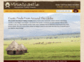 mountcastleinternational.com