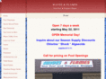 wavesandflames.com