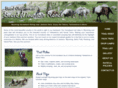 beardmountainranch.com