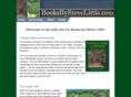 booksbystevelittle.com