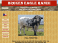 brokeneagleranch.com