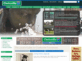 clarksvillevaloan.com